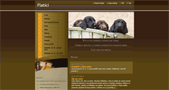 Desktop Screenshot of flat-coated-retriever.cz