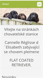 Mobile Screenshot of flat-coated-retriever.cz