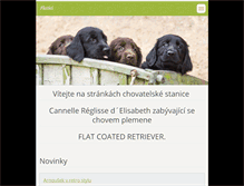 Tablet Screenshot of flat-coated-retriever.cz